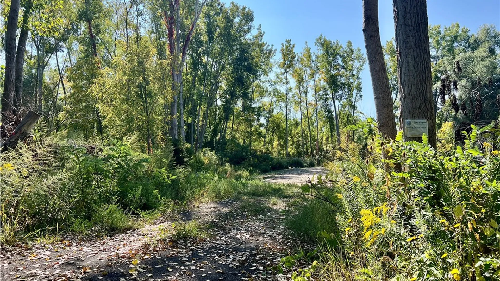Property at 709 Ogden Parma Town Line Road, Ogden, NY 14559 15