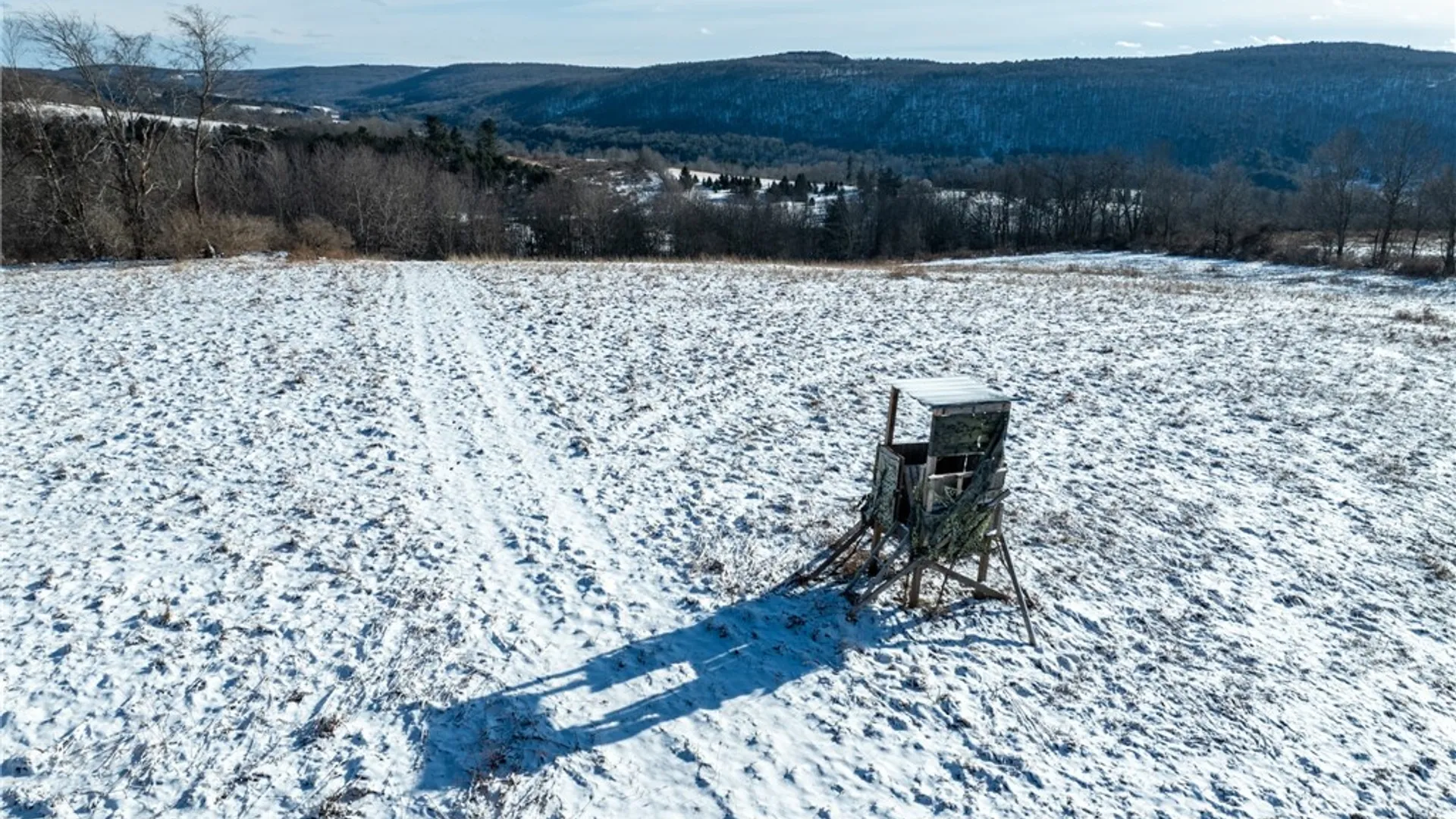 Property at 471 Frank Slawson Road, Davenport, NY 13755 15