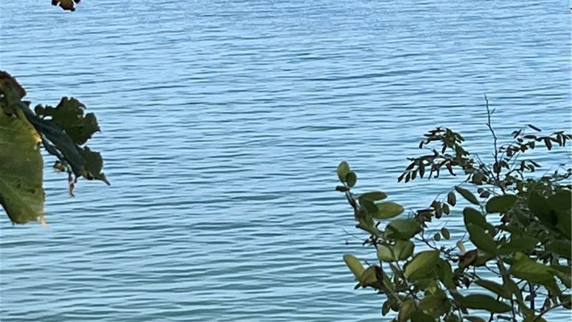 Property at 6293 Lake Road, Newfane, NY 14028 29