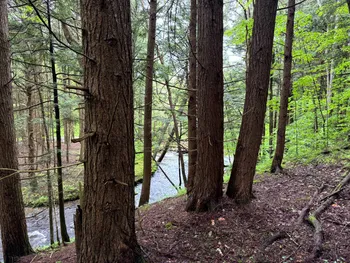Property at 1.5 Jones Road, German, NY 13801