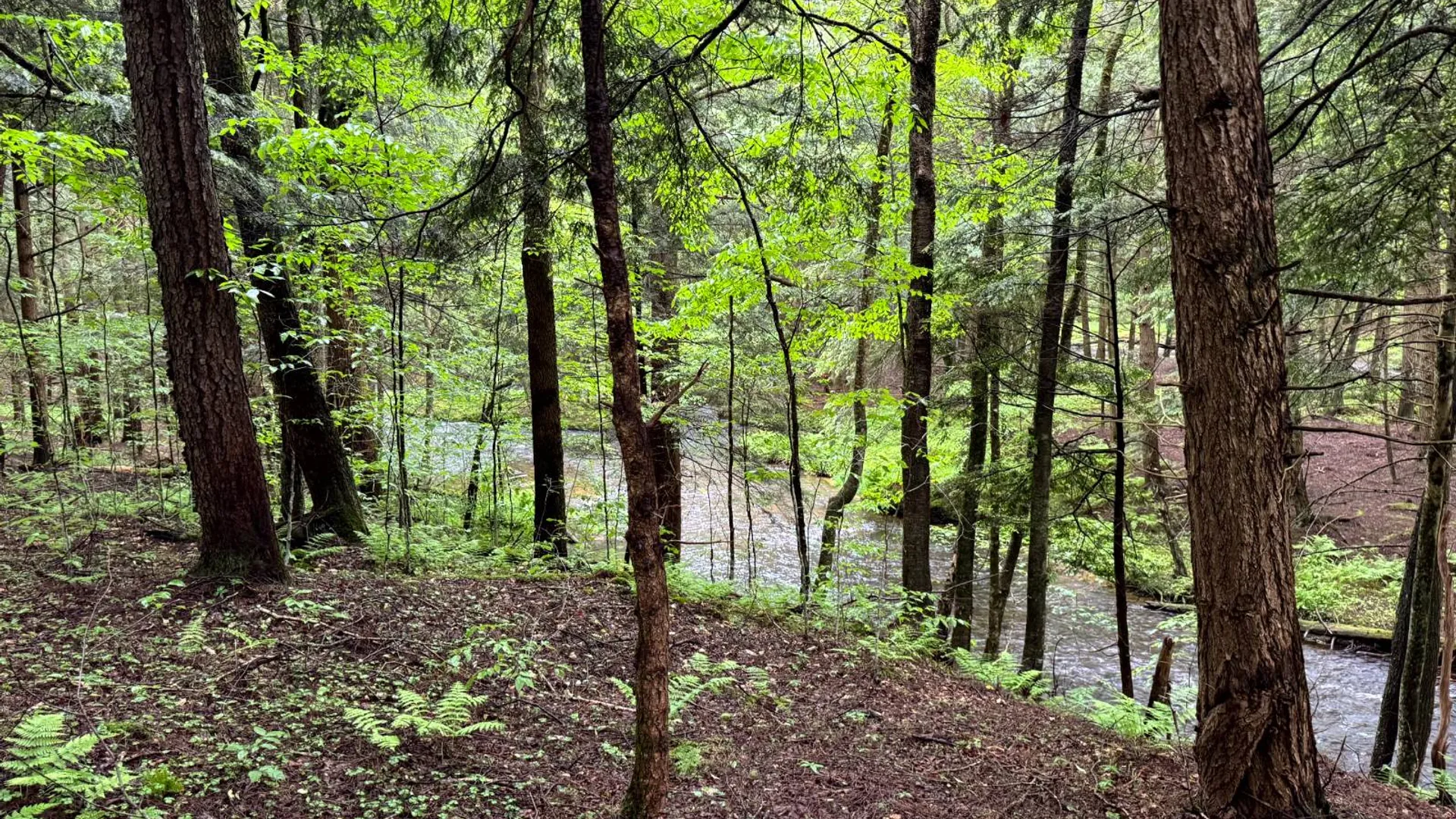 Property at 1.5 Jones Road, German, NY 13801 2