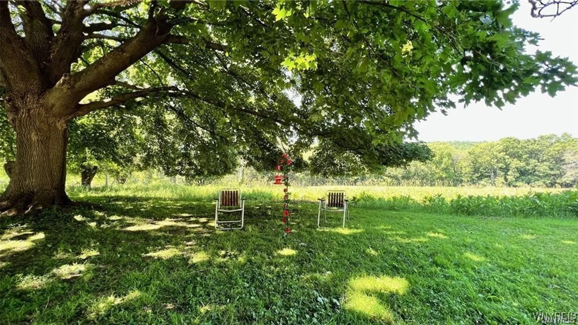 Property at 3319 Riverside Drive, Scio, NY 14895 7