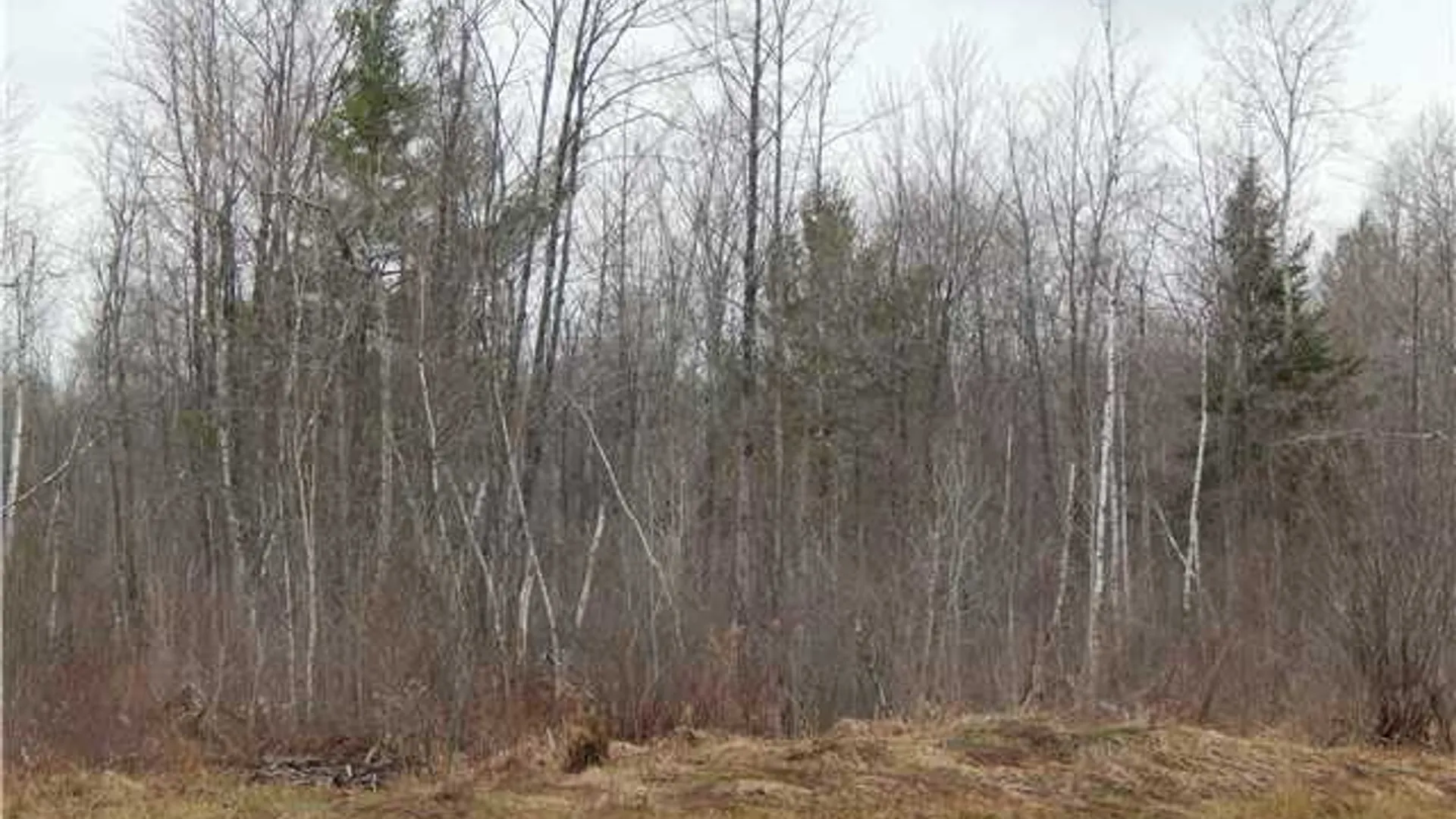 Property at 24365 Hickey Road, Wilna, NY 13619 2