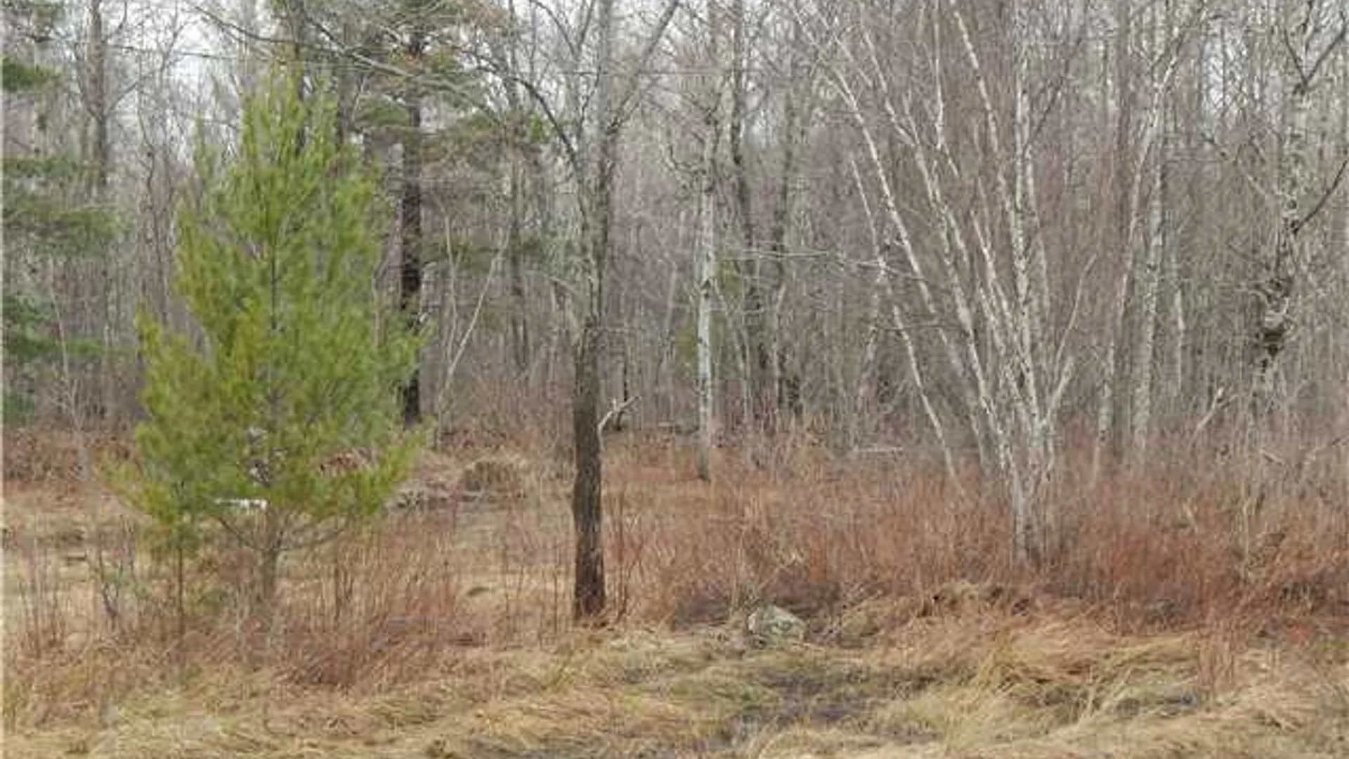 Property at 24365 Hickey Road, Wilna, NY 13619 8