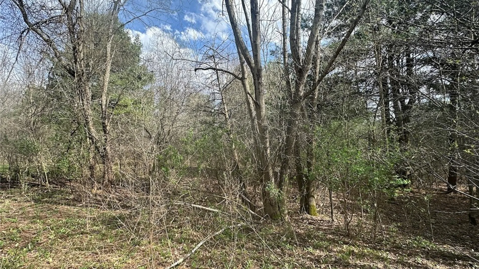 Property at Pigtail Road, Friendship, NY 14739 10