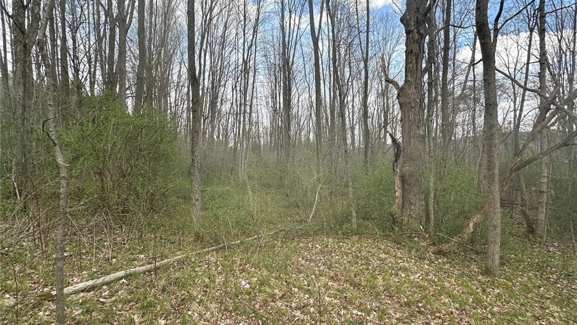 Property at Pigtail Road, Friendship, NY 14739 3