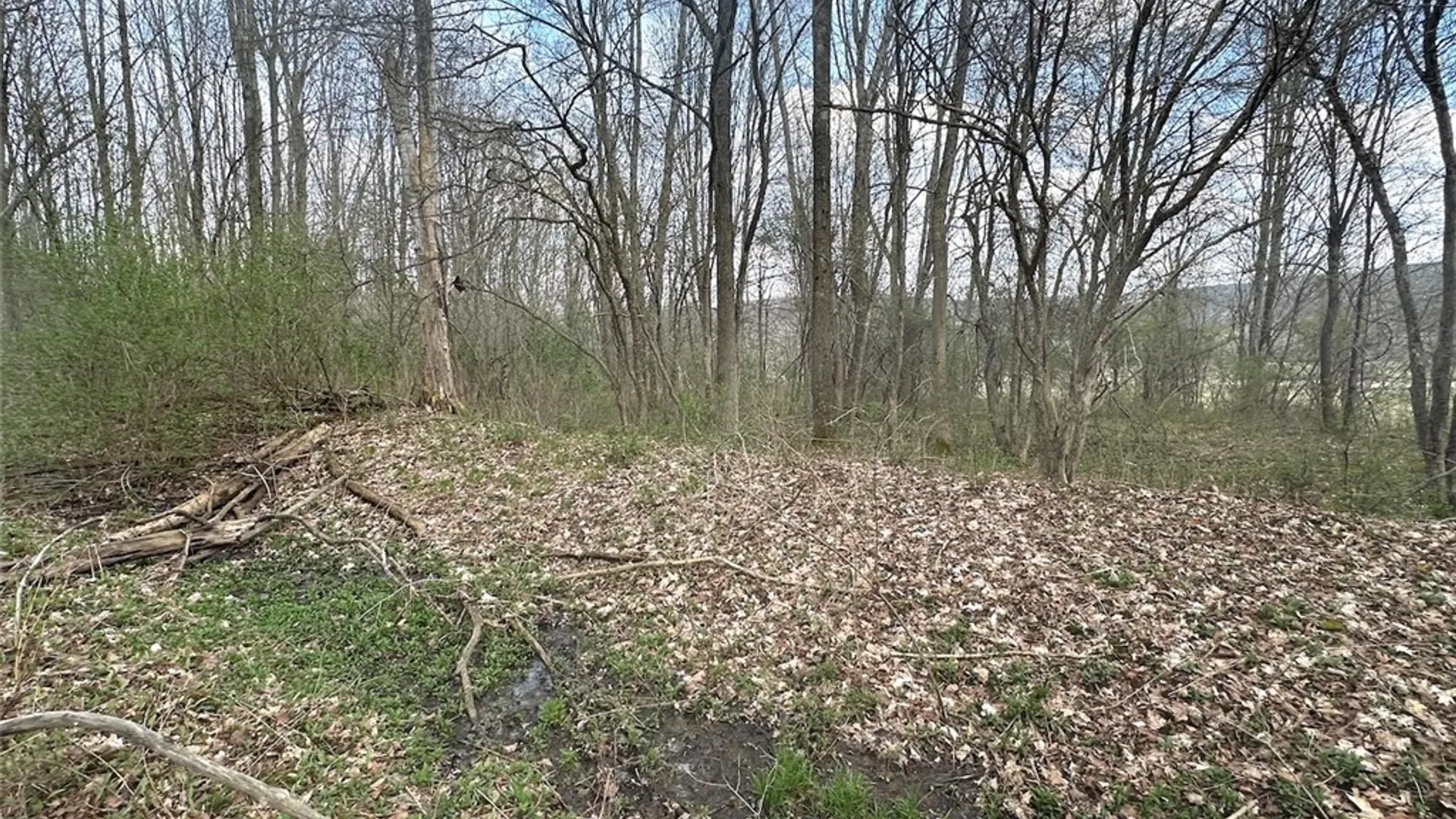 Property at Pigtail Road, Friendship, NY 14739 5