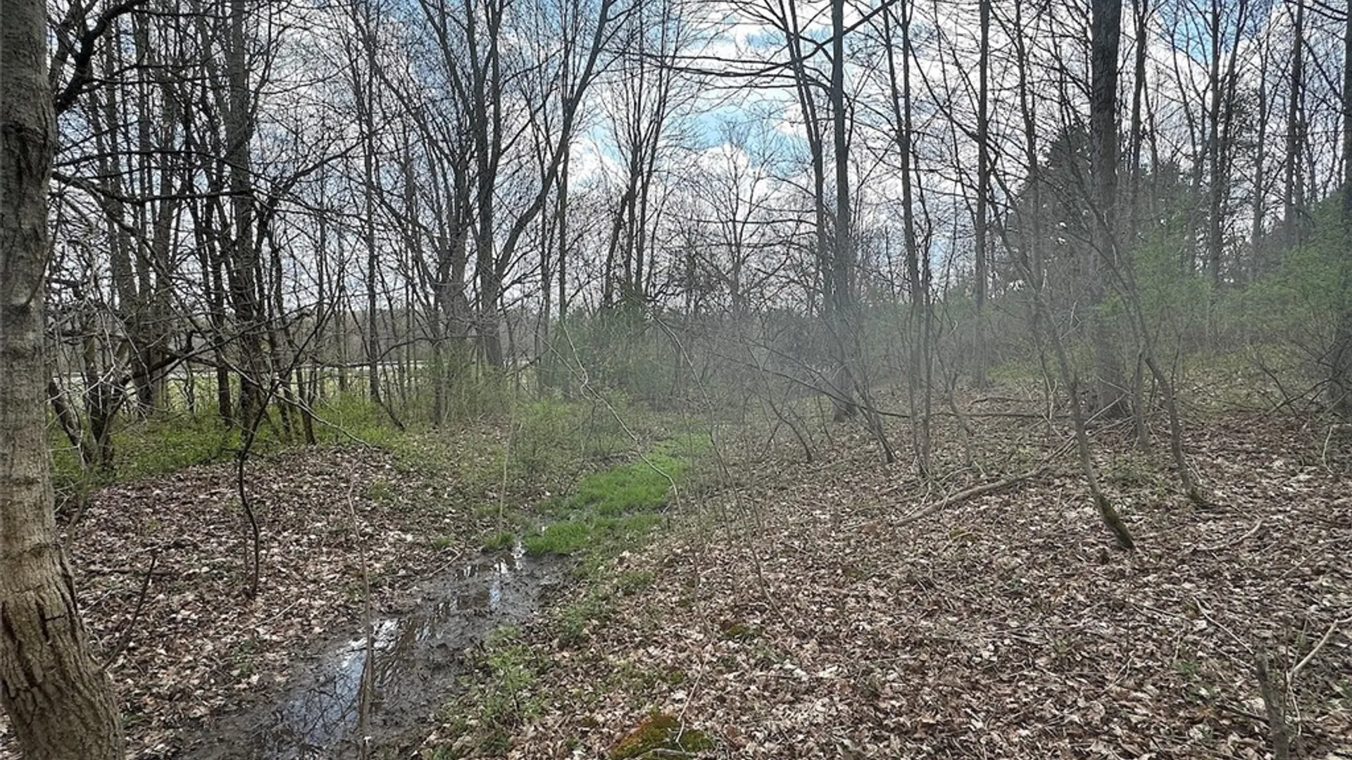 Property at Pigtail Road, Friendship, NY 14739 6