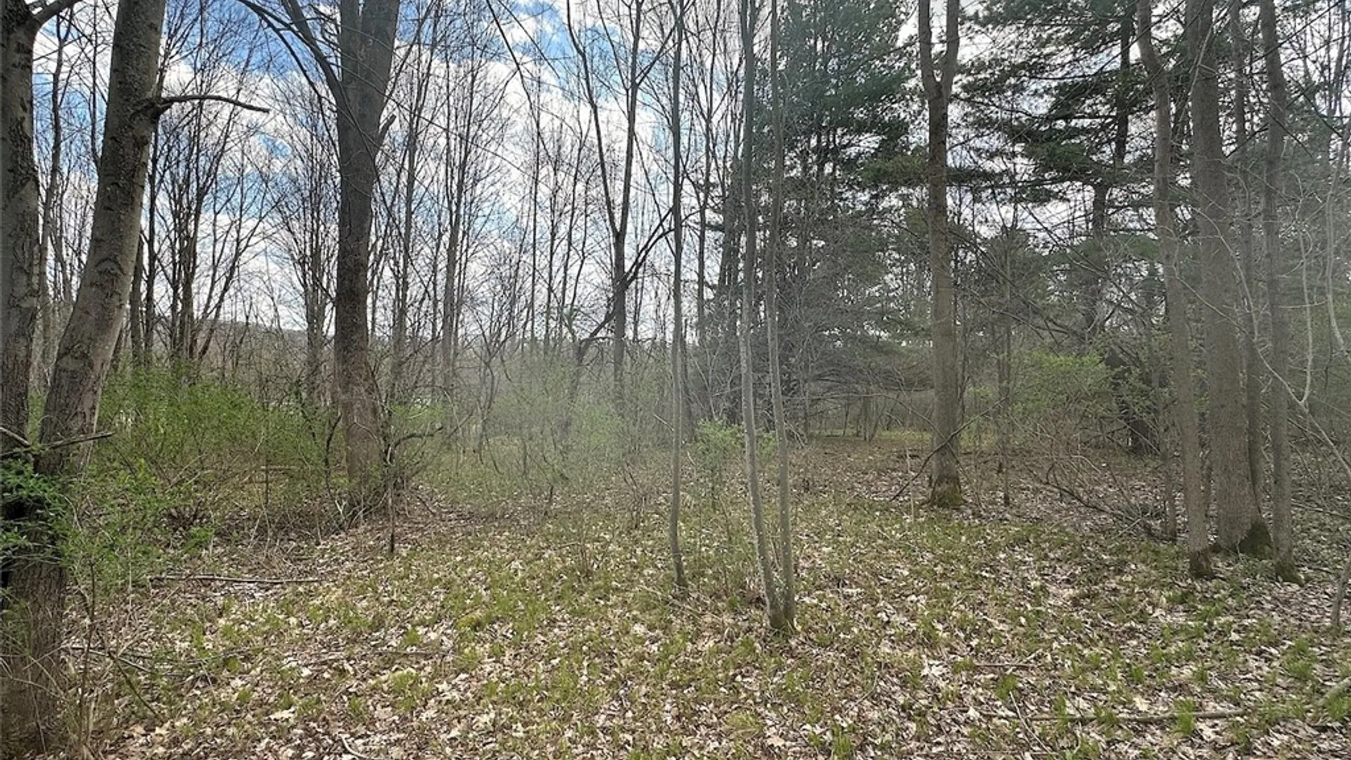 Property at Pigtail Road, Friendship, NY 14739 7