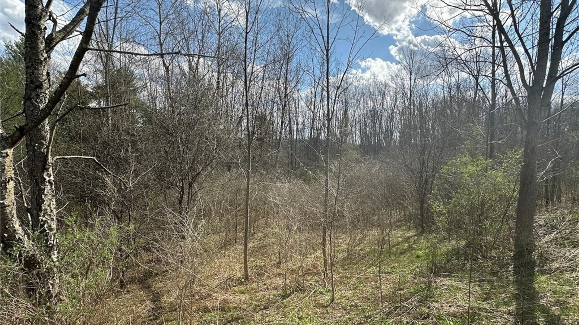 Property at Pigtail Road, Friendship, NY 14739 8