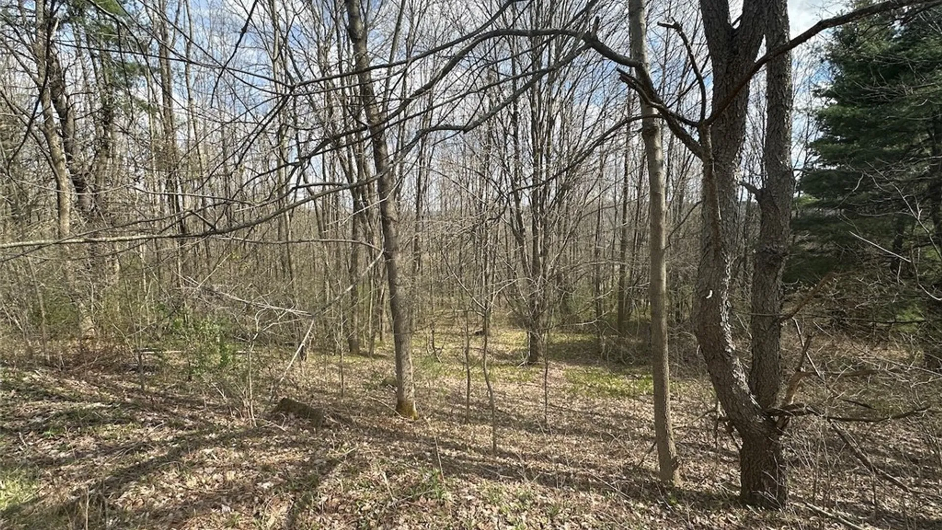 Property at Pigtail Road, Friendship, NY 14739 9