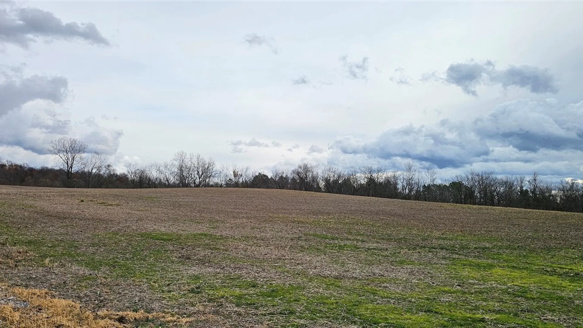 Property at Lake Road, Varick, NY 14521 10