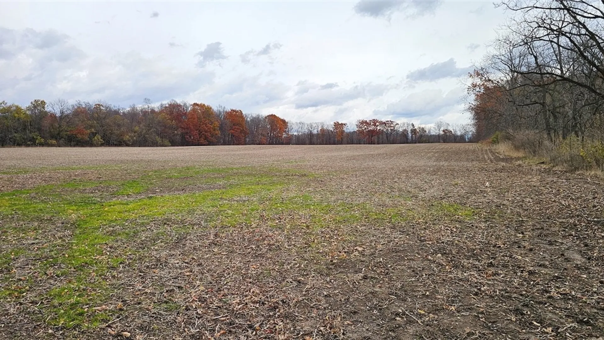 Property at Lake Road, Varick, NY 14521 11