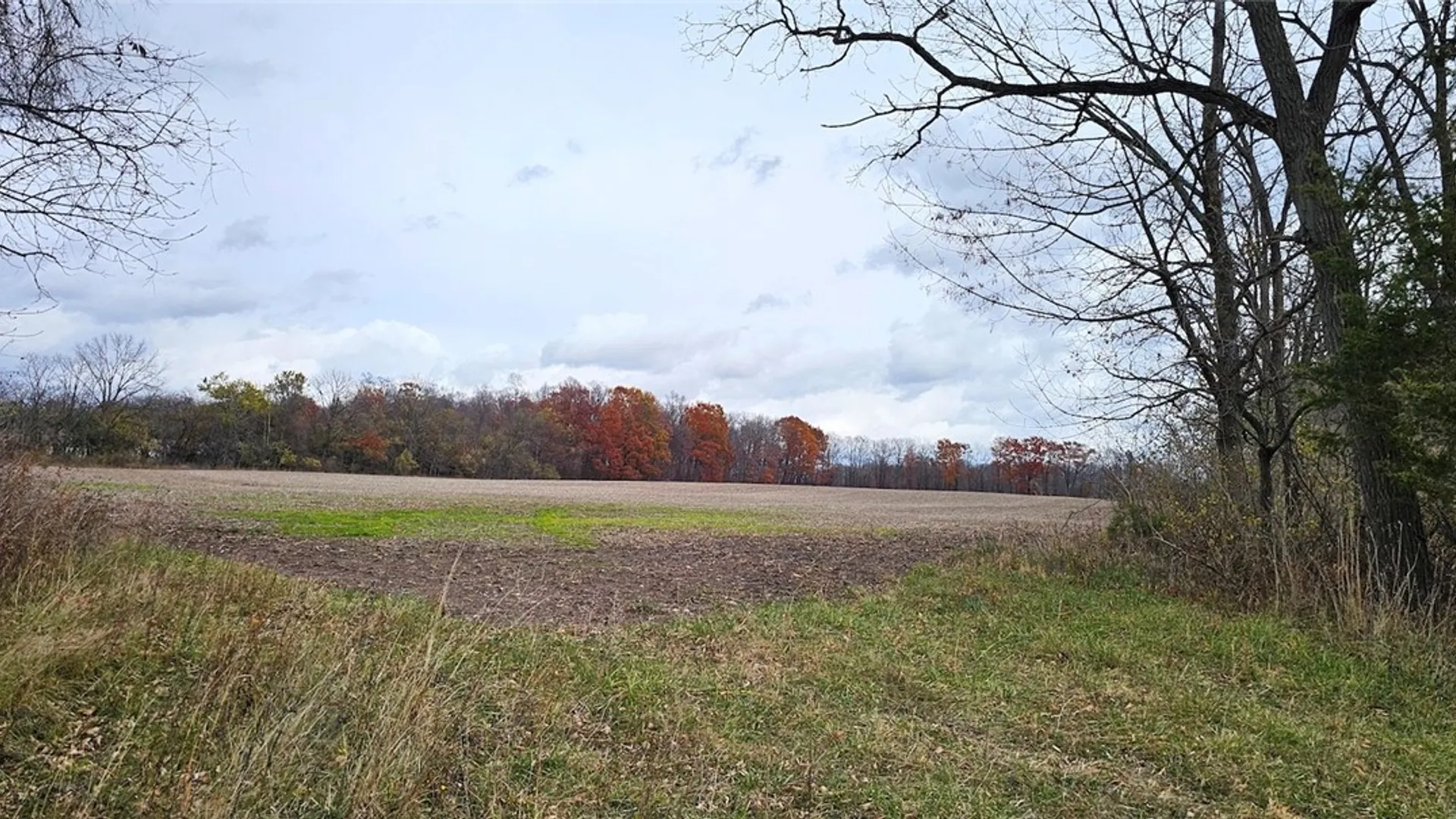 Property at Lake Road, Varick, NY 14521 12