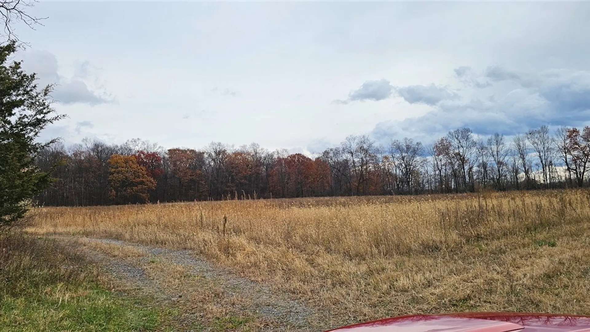 Property at Lake Road, Varick, NY 14521 13