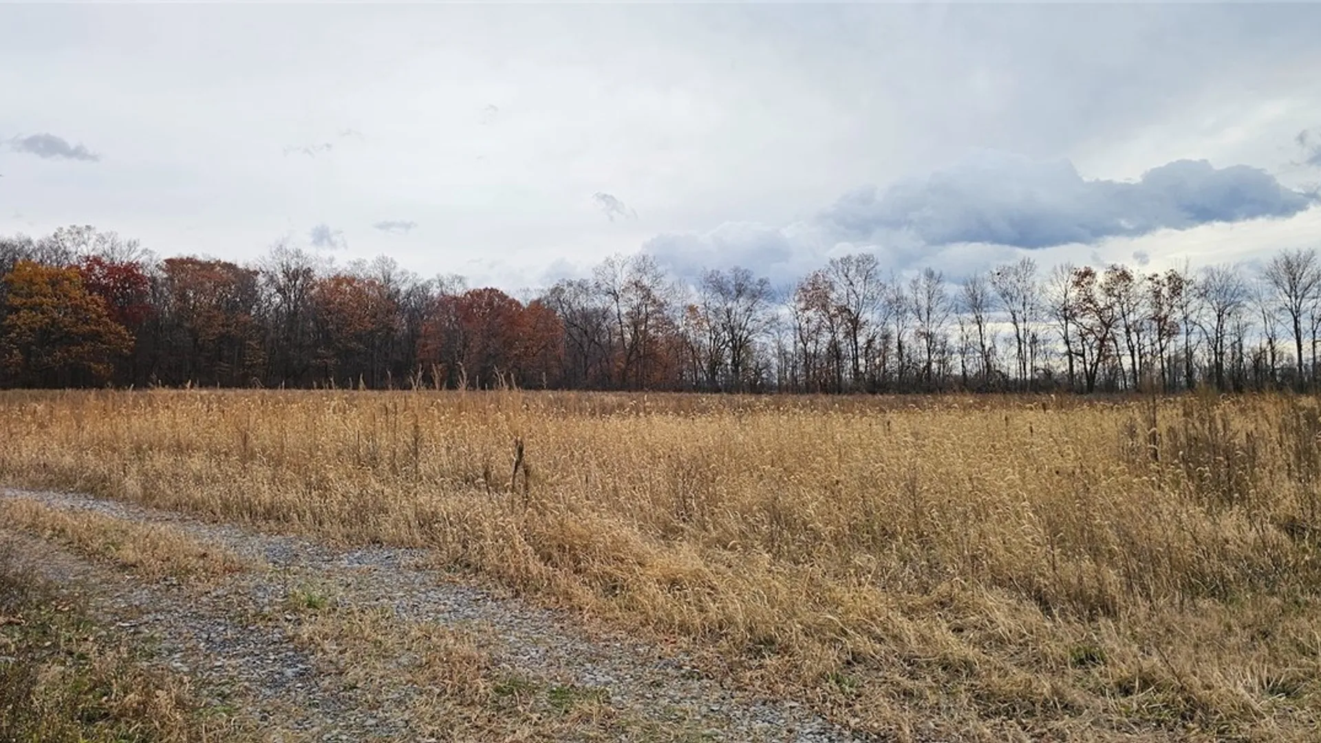 Property at Lake Road, Varick, NY 14521 14