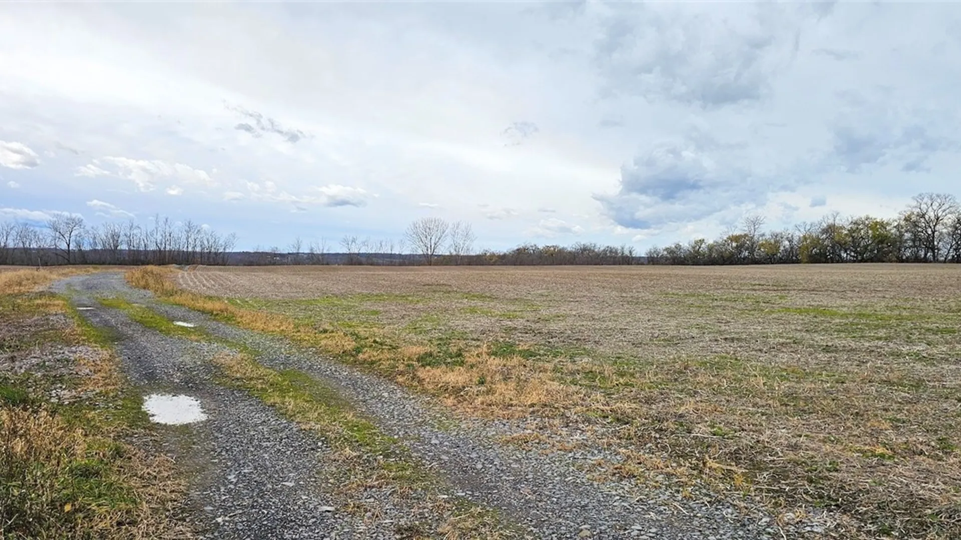 Property at Lake Road, Varick, NY 14521 15