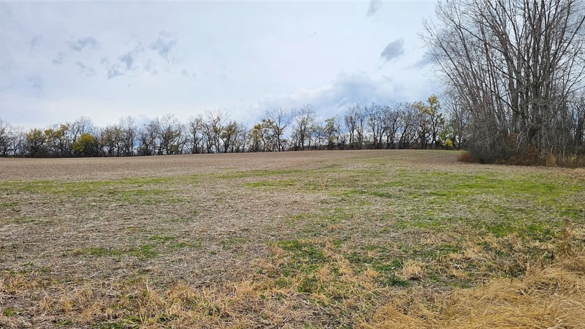 Property at Lake Road, Varick, NY 14521 16