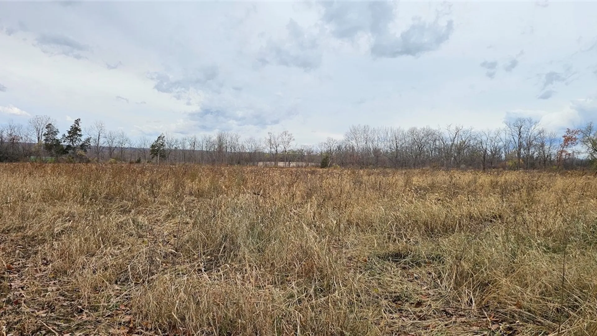 Property at Lake Road, Varick, NY 14521 17