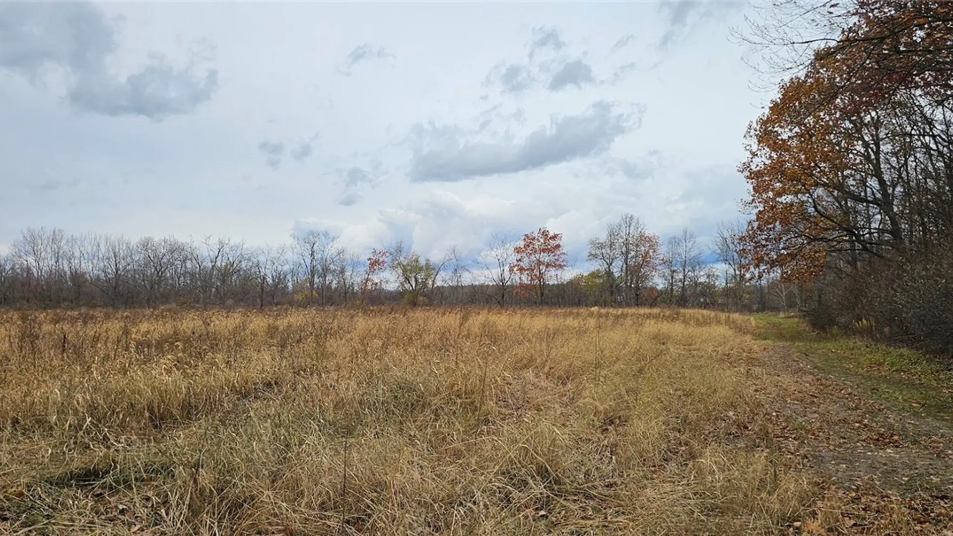 Property at Lake Road, Varick, NY 14521 18