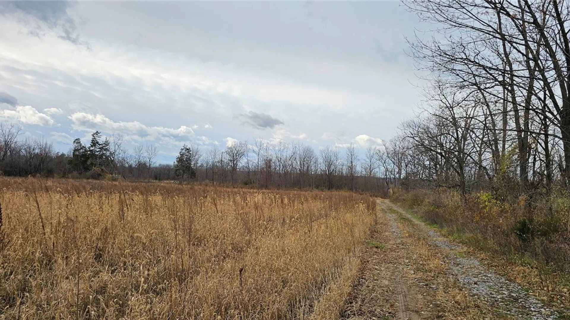 Property at Lake Road, Varick, NY 14521 19