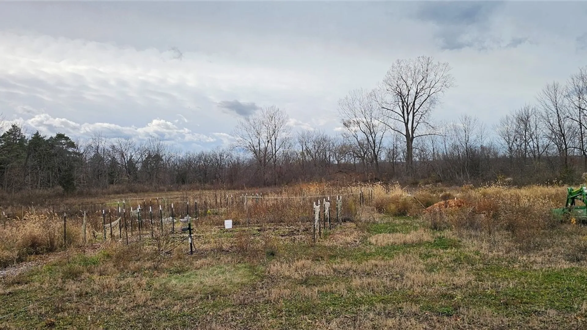 Property at Lake Road, Varick, NY 14521 22