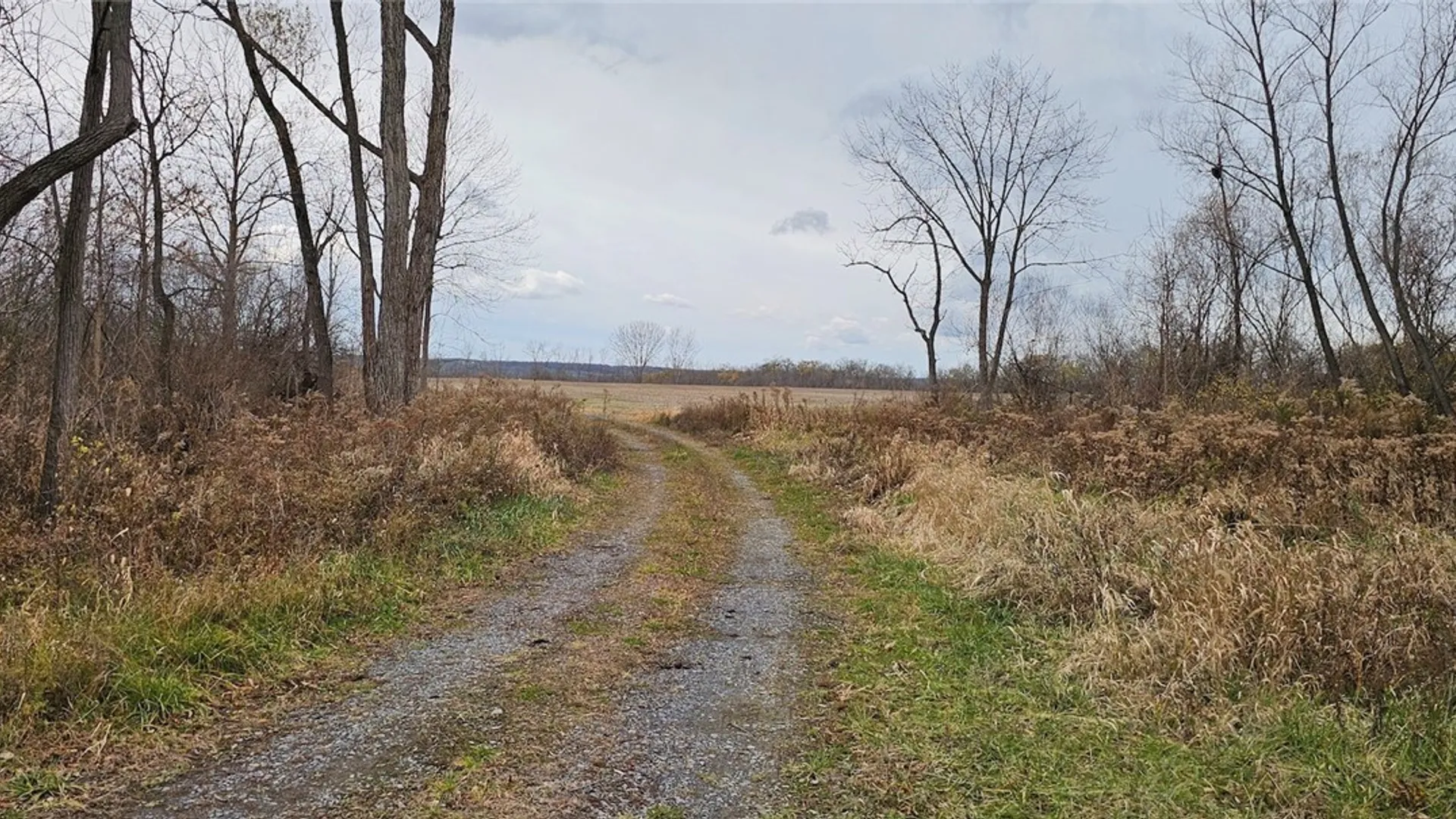 Property at Lake Road, Varick, NY 14521 23