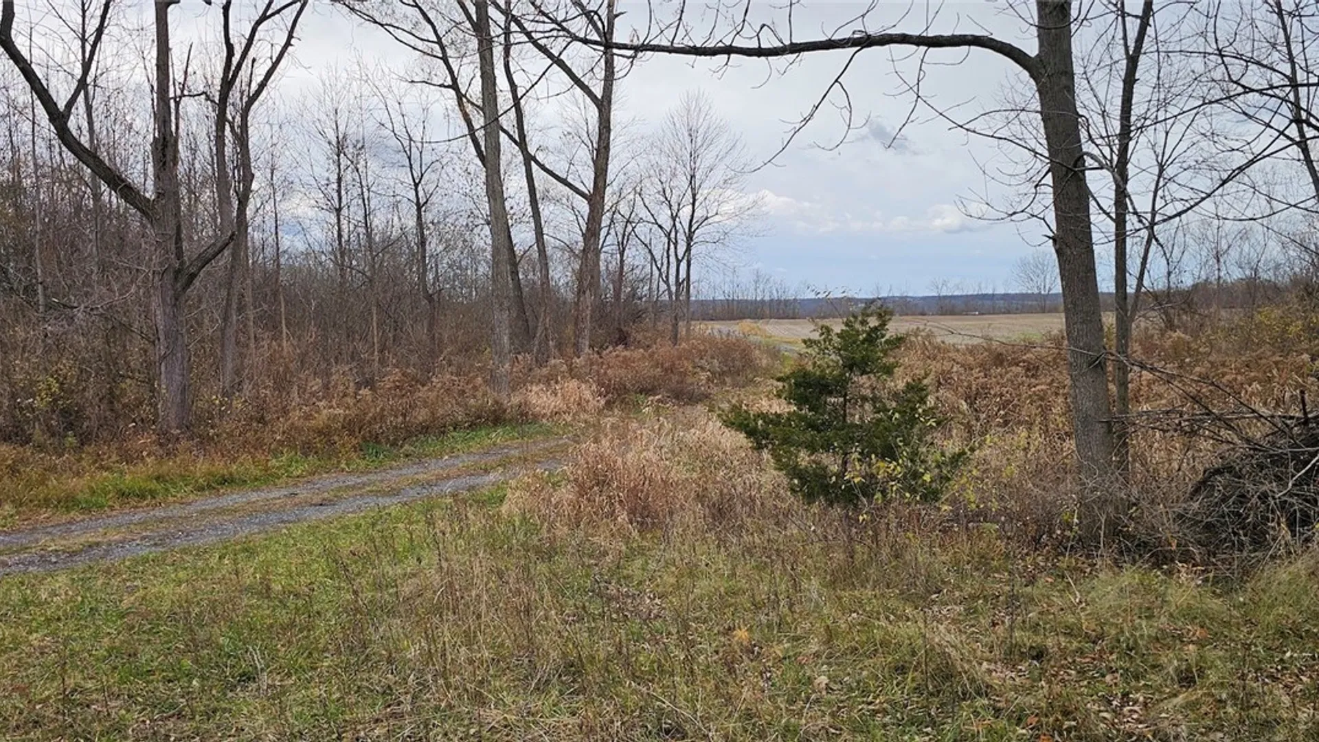 Property at Lake Road, Varick, NY 14521 24