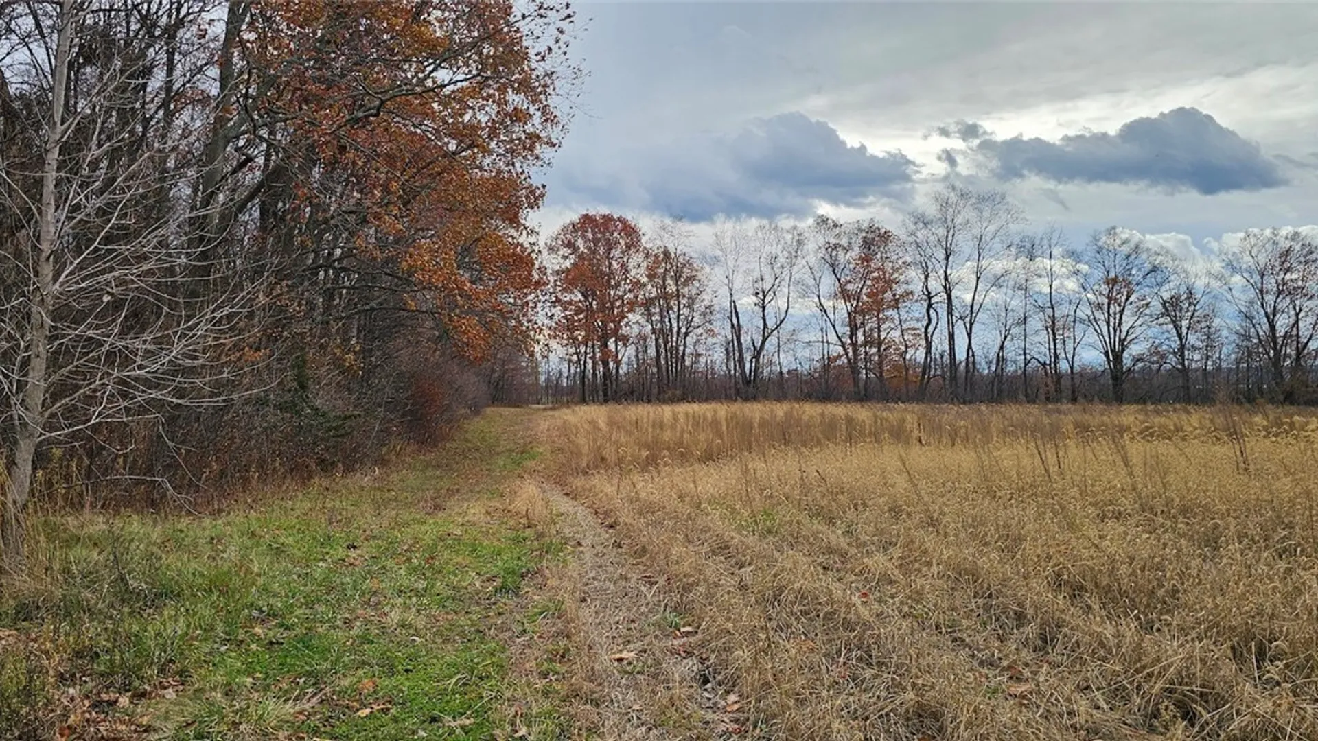 Property at Lake Road, Varick, NY 14521 25