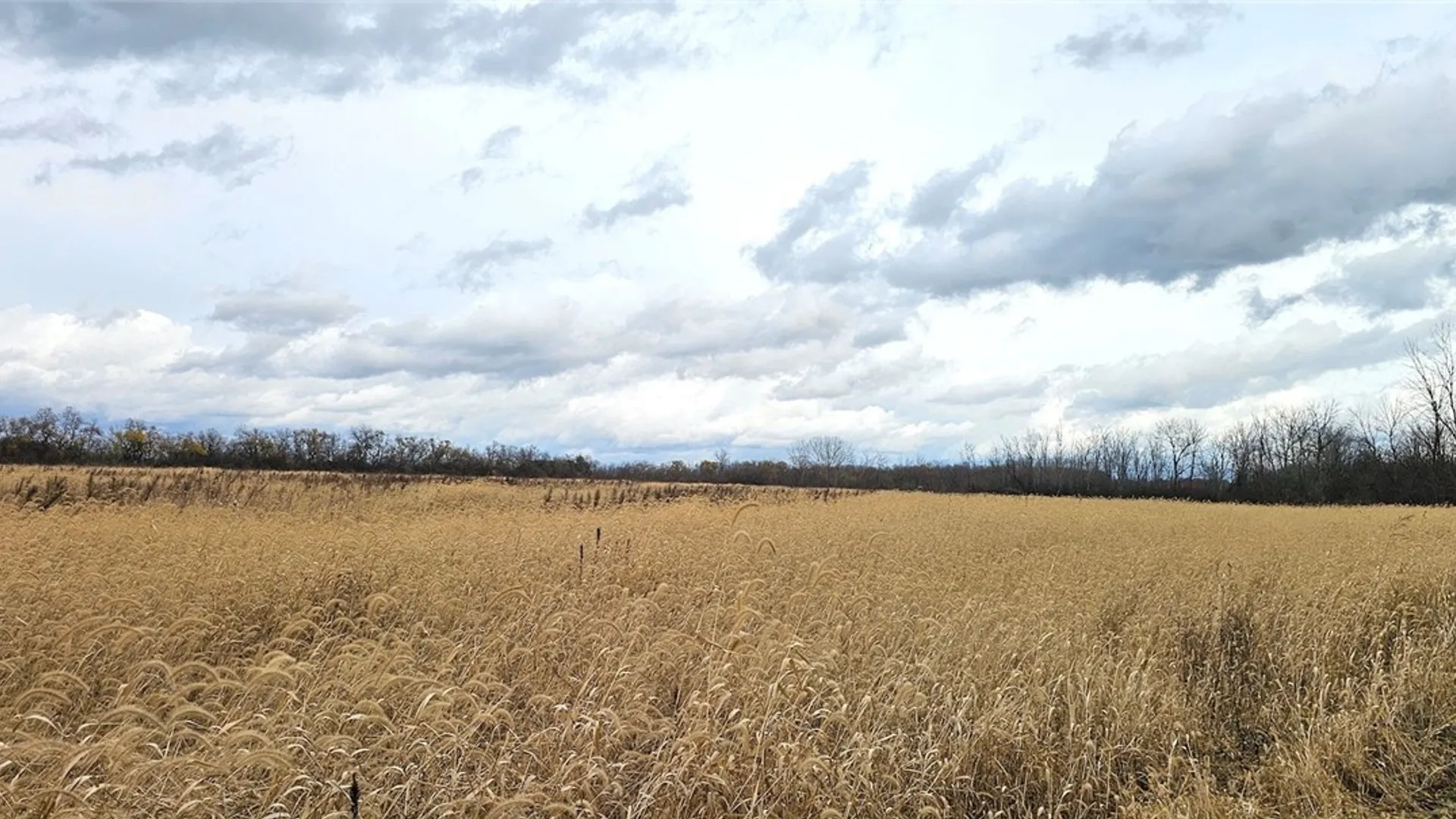 Property at Lake Road, Varick, NY 14521 28