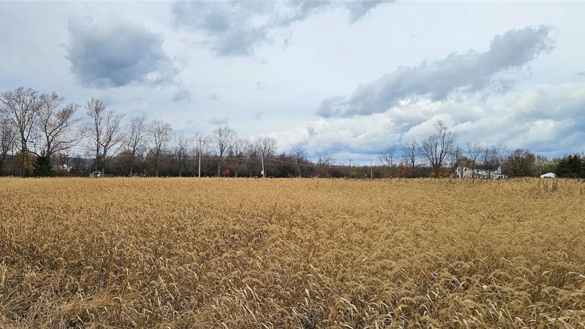 Property at Lake Road, Varick, NY 14521 29