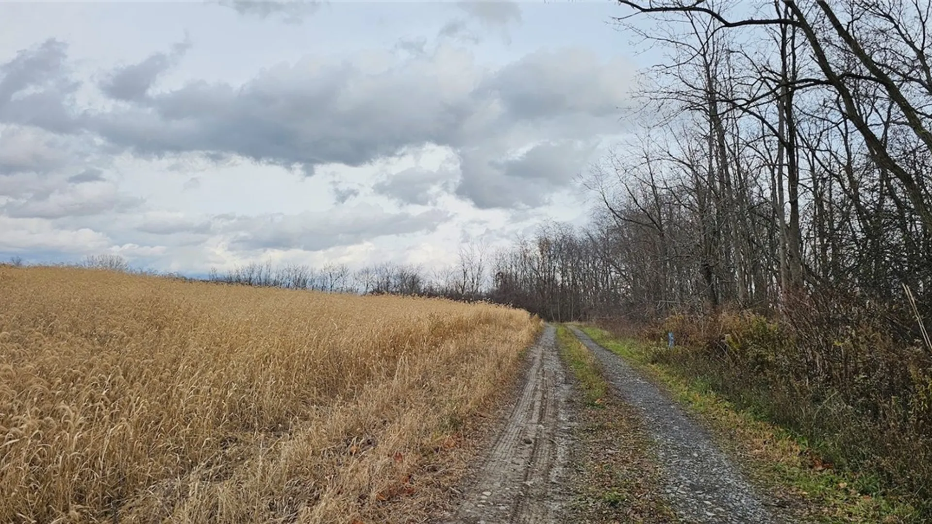 Property at Lake Road, Varick, NY 14521 30