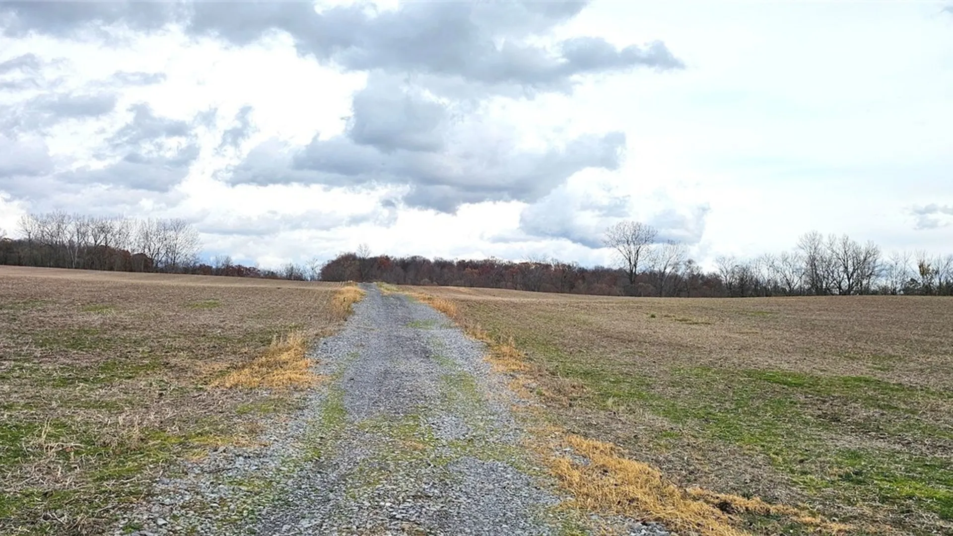Property at Lake Road, Varick, NY 14521 8