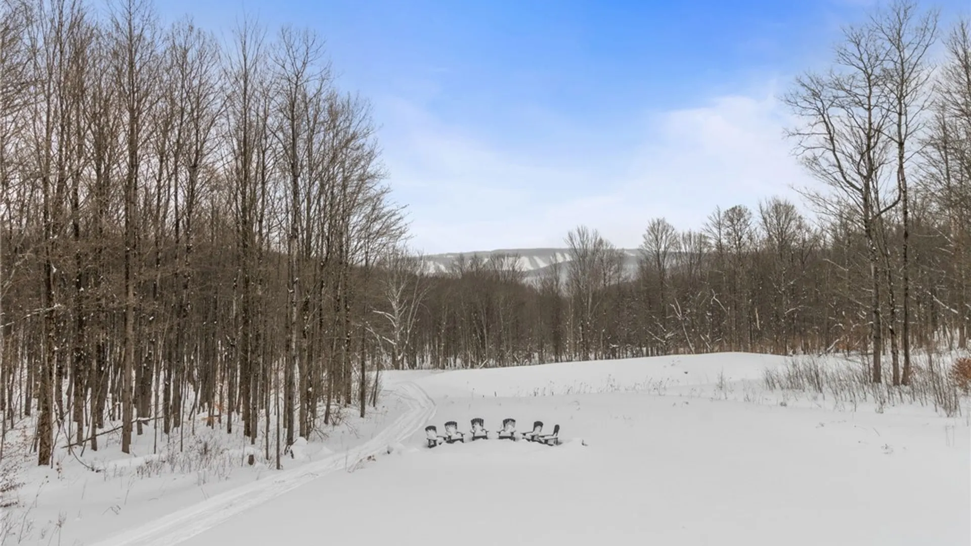 Property at 8 Trail Heights Poverty Hill Road, Ellicottville, NY 14731 48