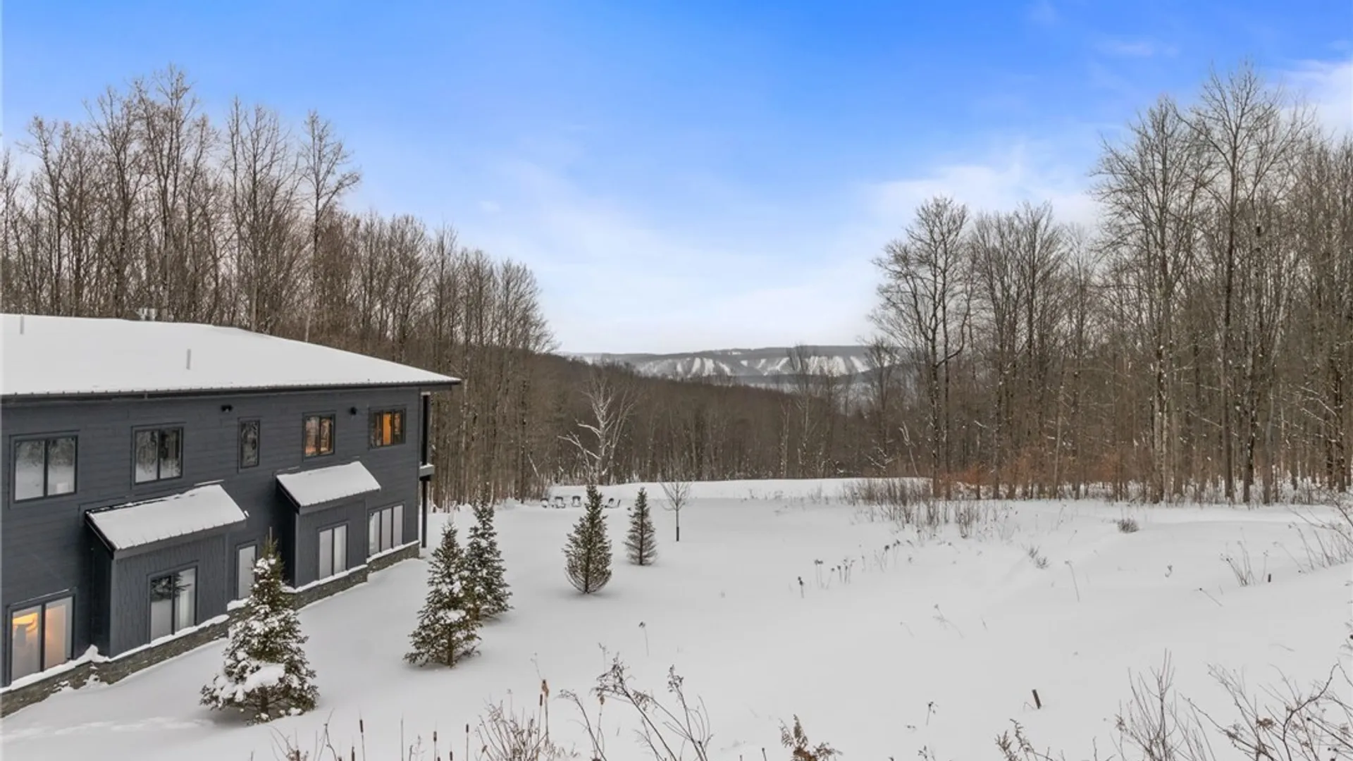 Property at 8 Trail Heights Poverty Hill Road, Ellicottville, NY 14731 49