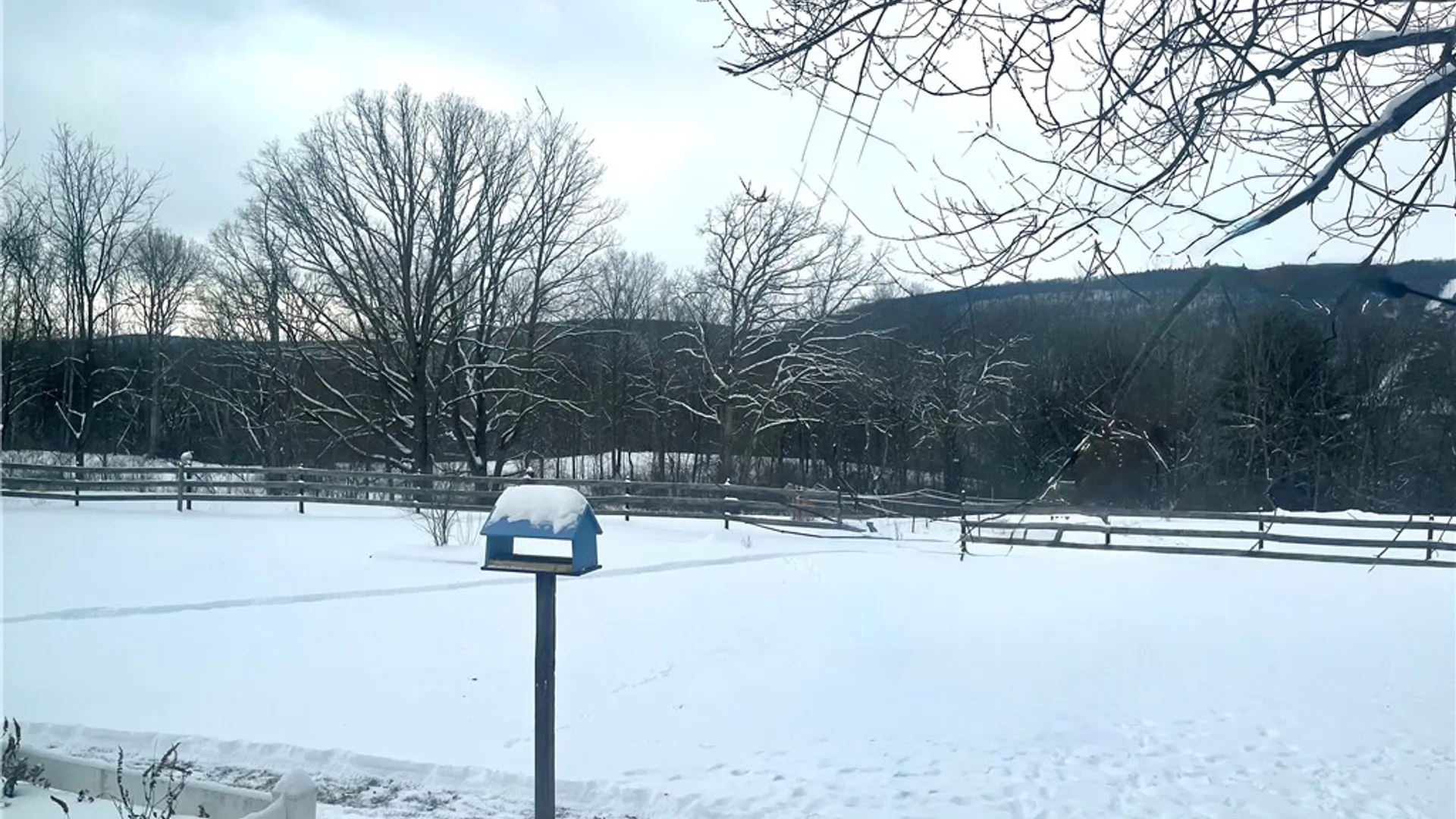 Property at 1975 Fitzpatrick Hill Road, Montour, NY 14865 48