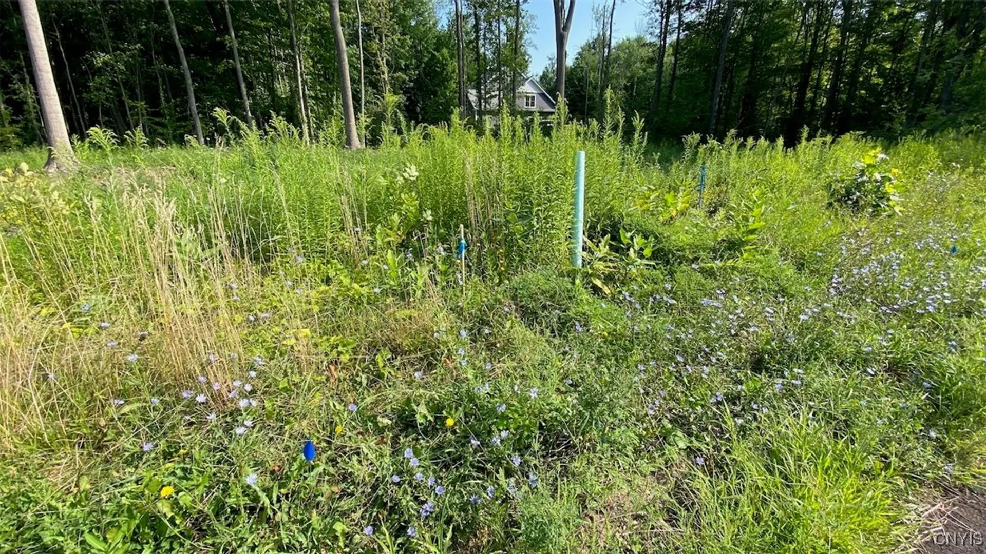 Property at 45 Obrien Glenway, Oswego, NY 13126 3