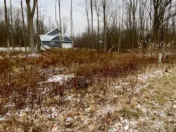 Property at 27 Elizabeth Street, Oswego, NY 13126