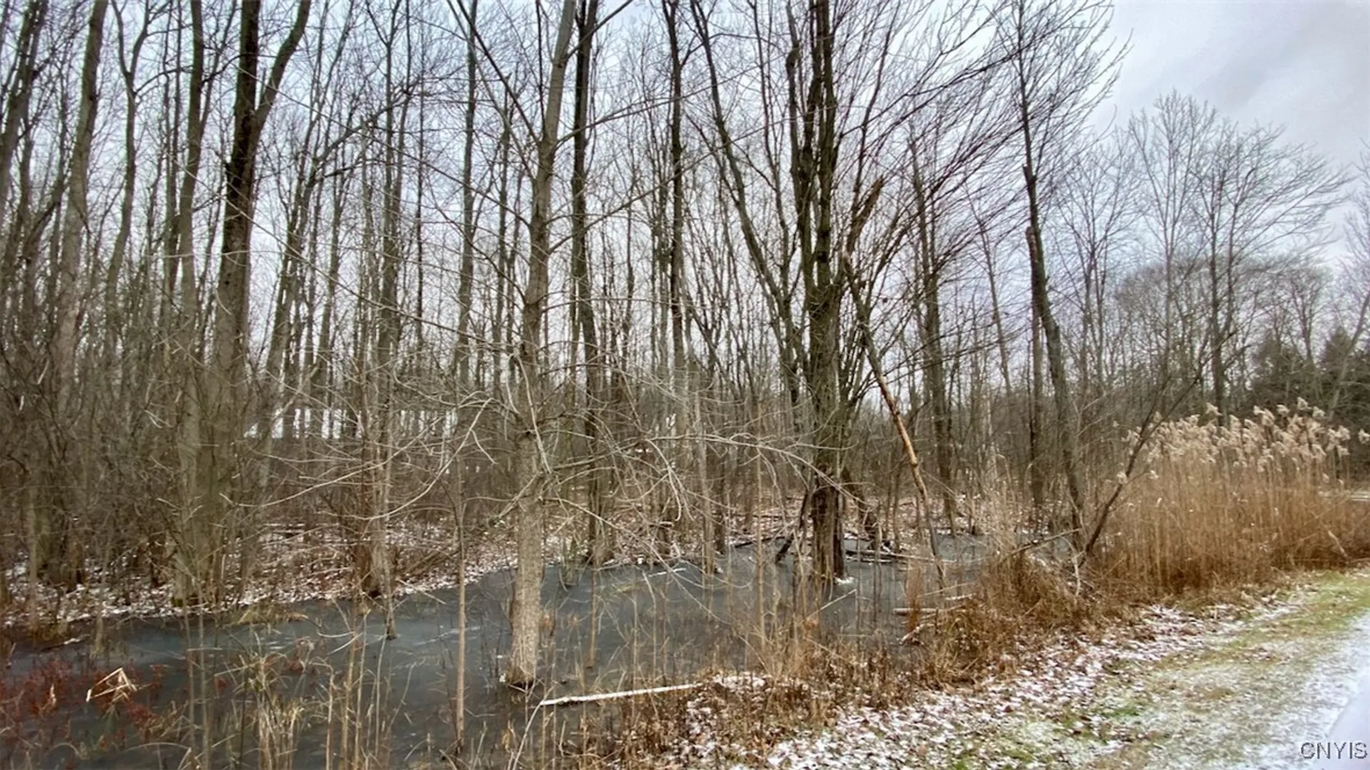 Property at 23 Jordan Way, Oswego, NY 13126 3