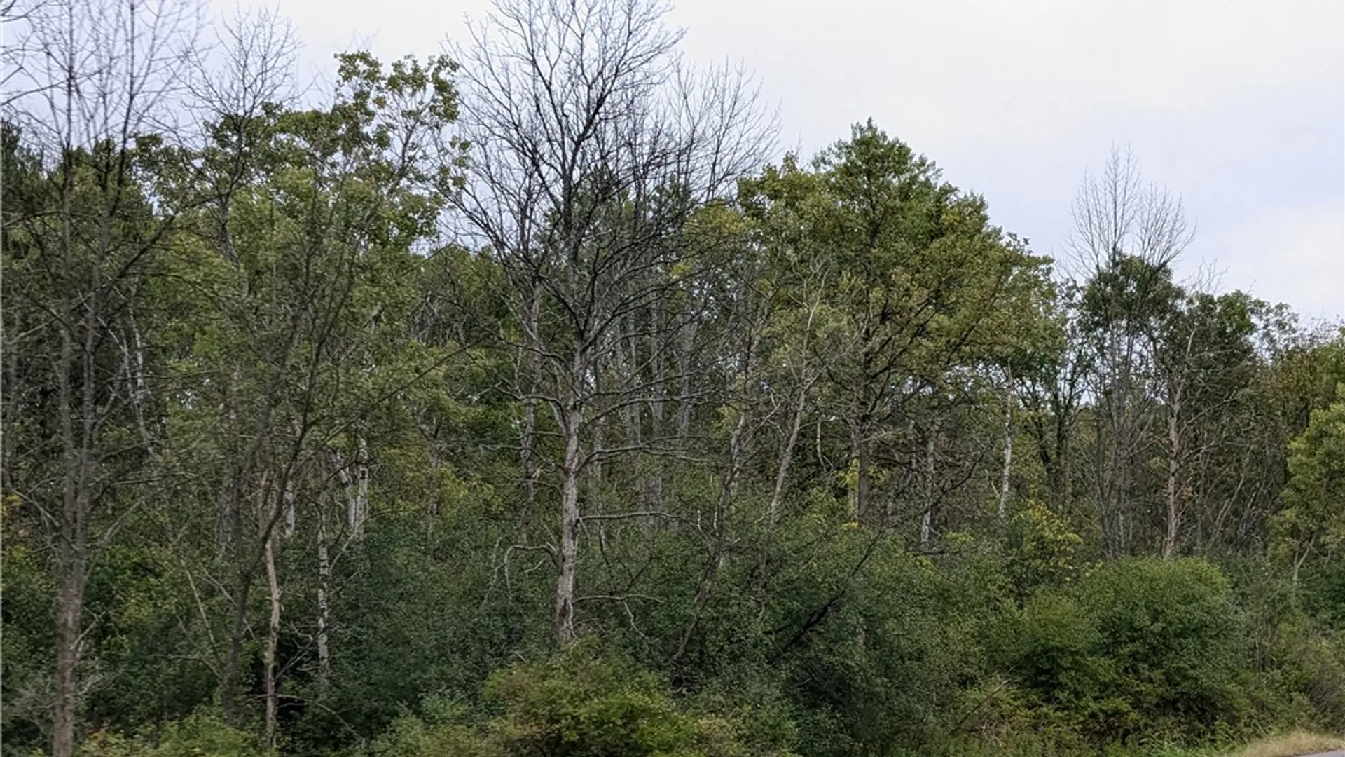 Property at 0 Lower Creek Road, Dryden, NY 14850 2