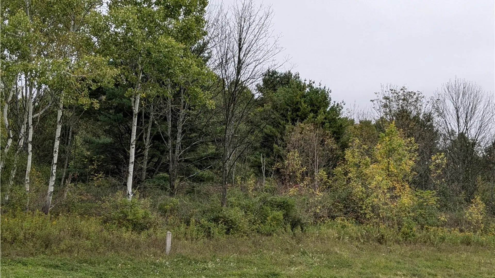 Property at 0 Lower Creek Road, Dryden, NY 14850 6