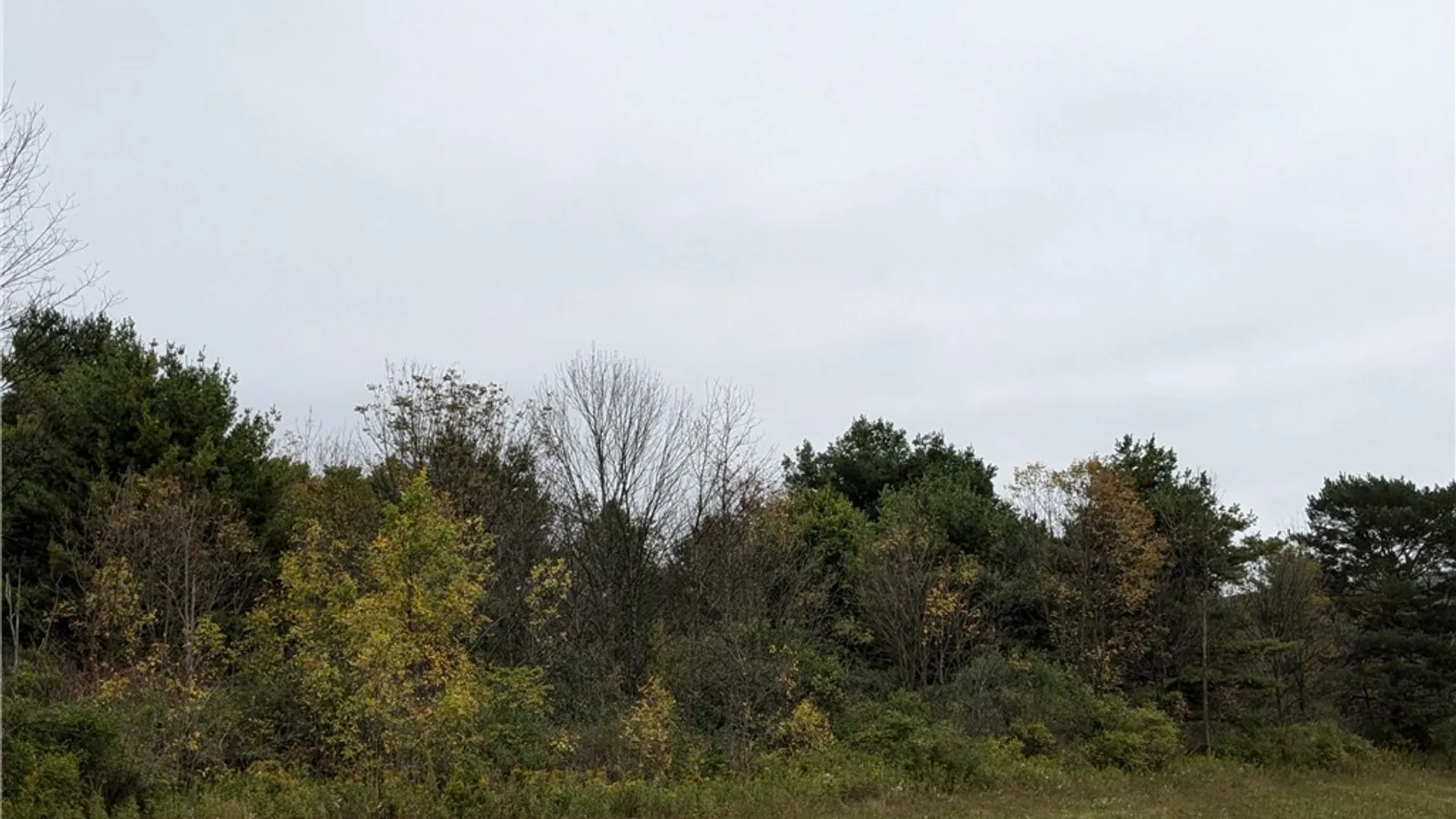 Property at 0 Lower Creek Road, Dryden, NY 14850 7