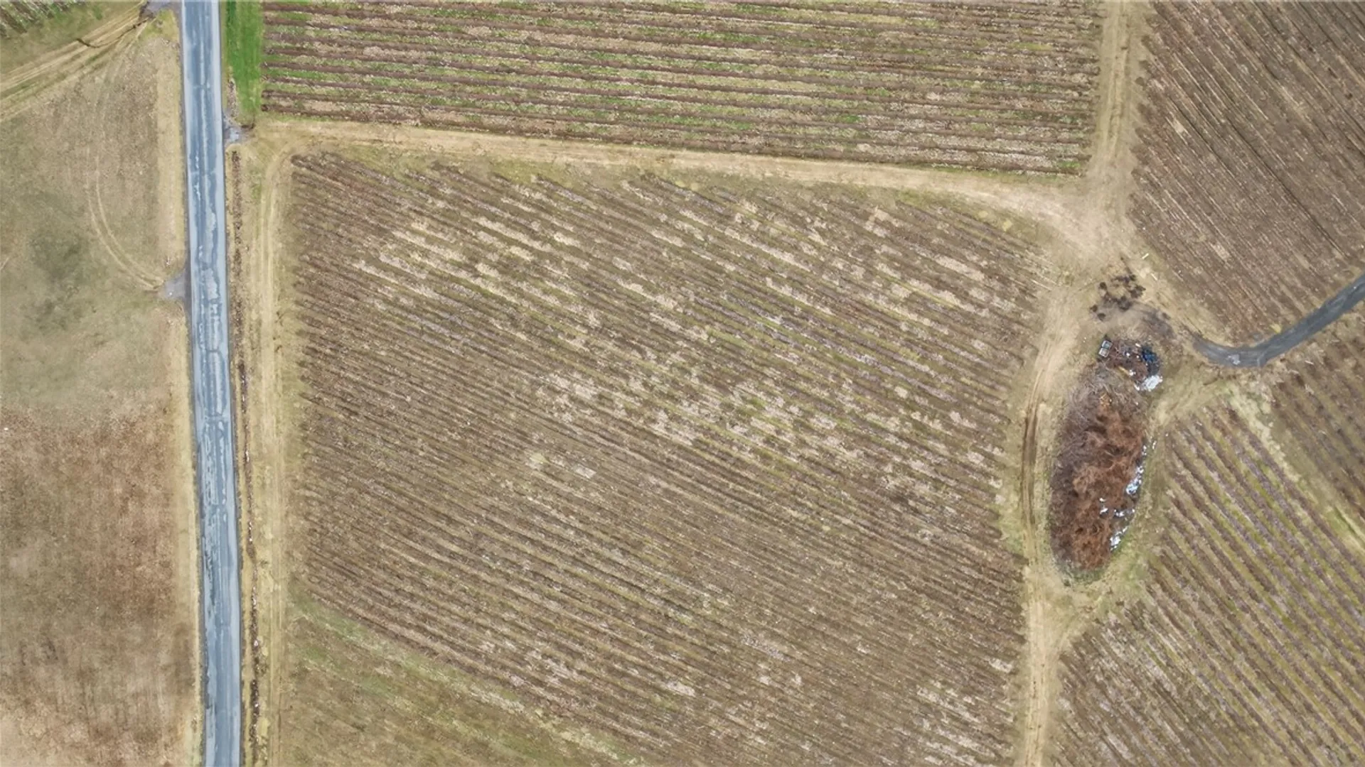 Property at Sand Hill Road, Jerusalem, NY 14527 7