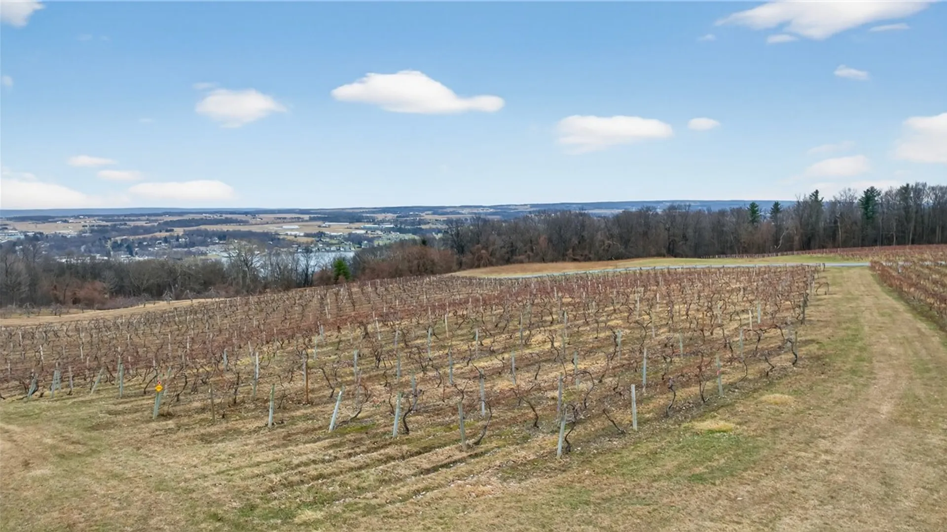 Property at Sand Hill Road, Jerusalem, NY 14527 9