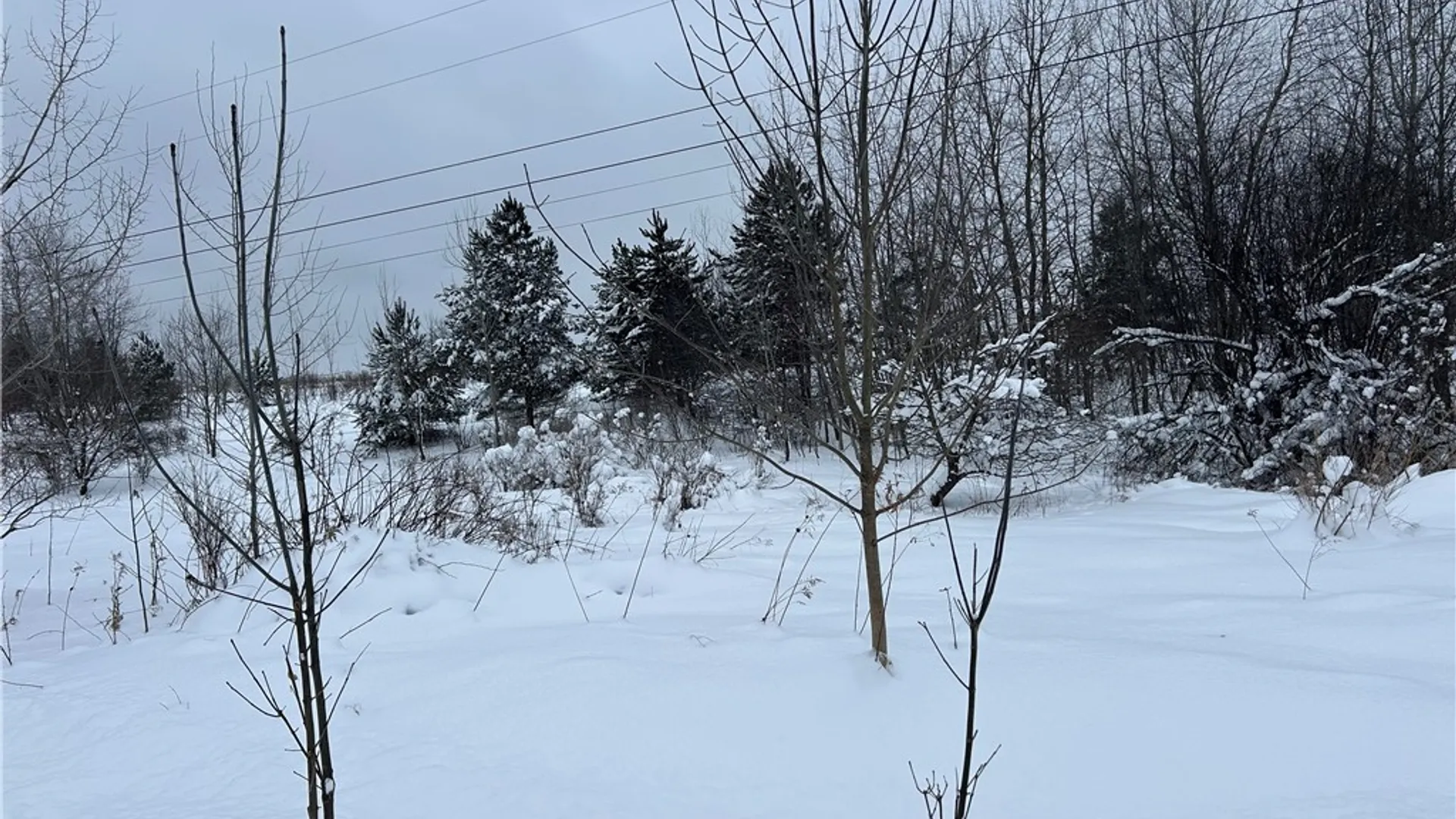 Property at Pekin Road, French Creek, NY 14736 2