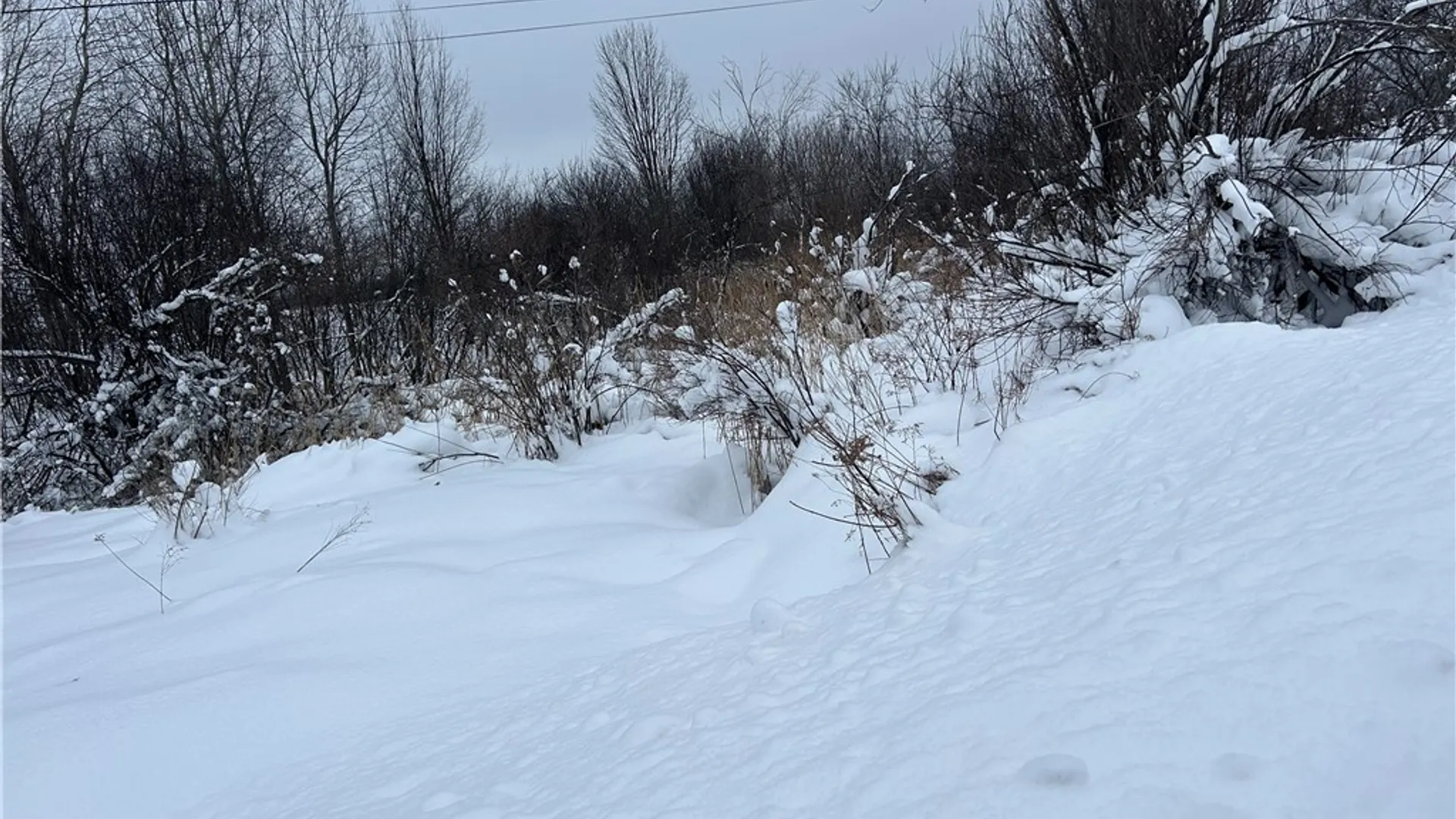 Property at Pekin Road, French Creek, NY 14736 3