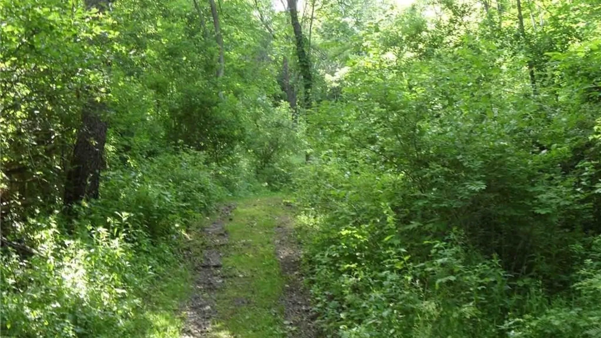 Property at 0 Henderson Street, Whitestown, NY 13492 10