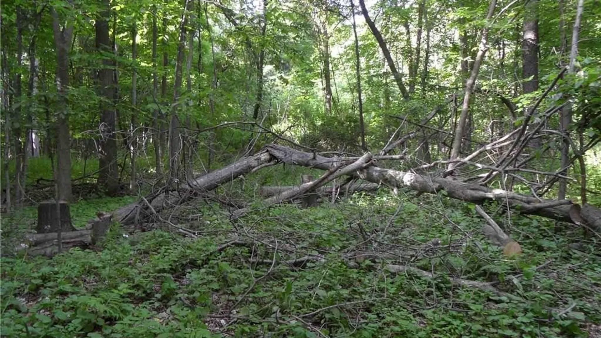 Property at 0 Henderson Street, Whitestown, NY 13492 11