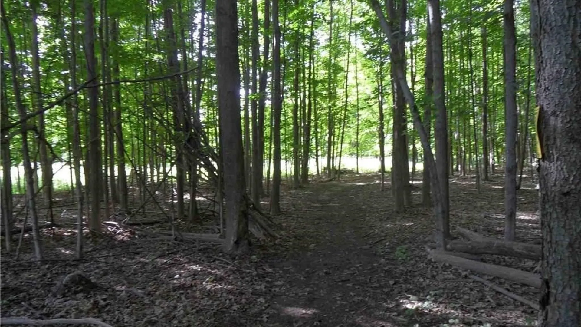 Property at 0 Henderson Street, Whitestown, NY 13492 12