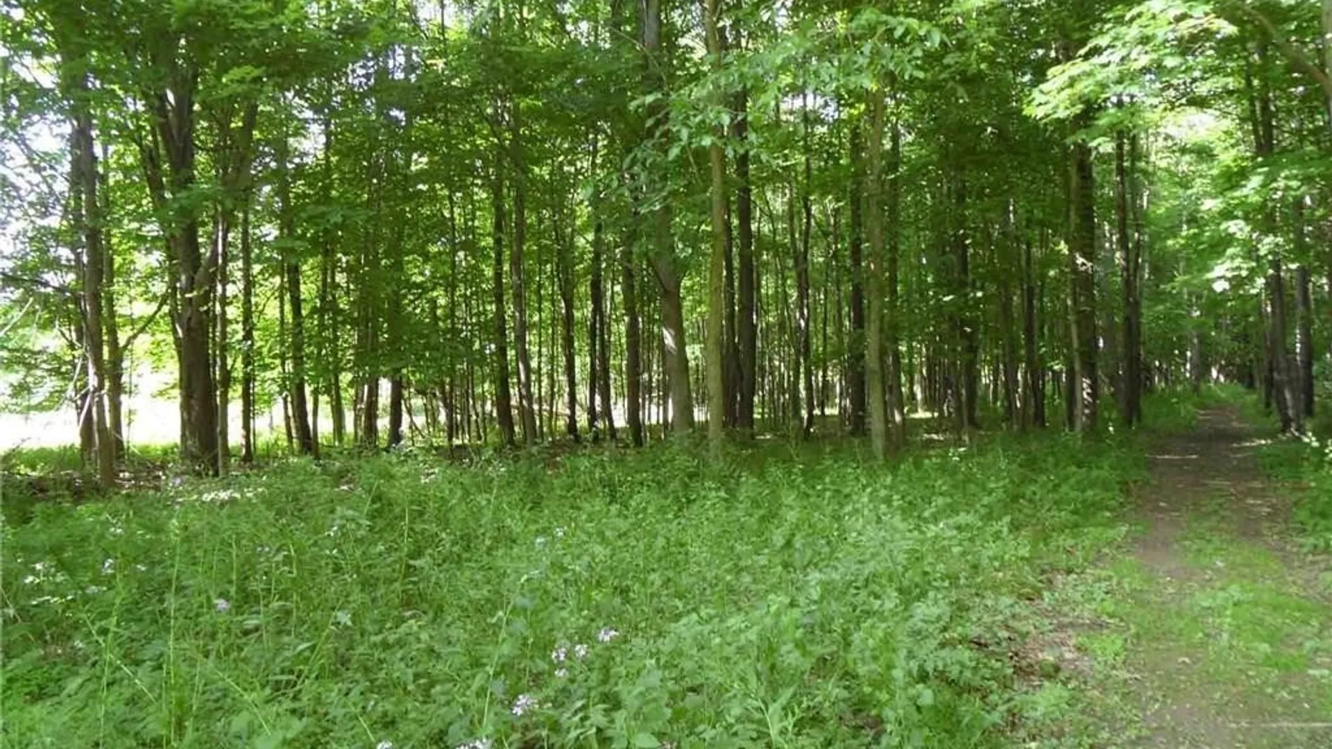 Property at 0 Henderson Street, Whitestown, NY 13492 2